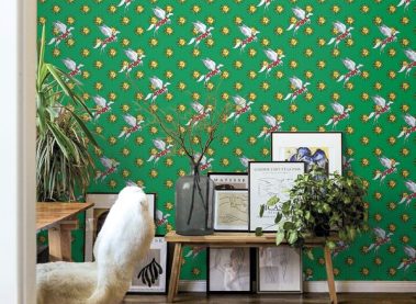 jannelli volpi-tapete